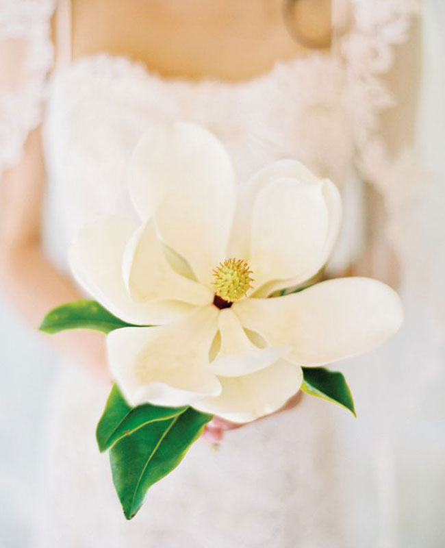 flowers8