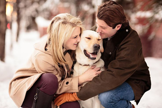 21 Oh So Adorable Engagement Photos with Dogs Desktop Image