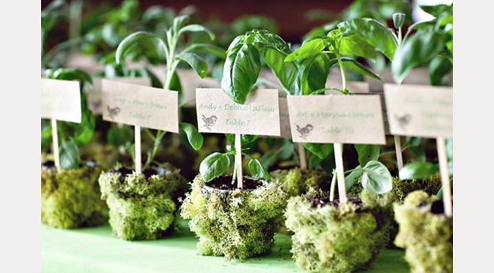 21 More "Not Jam" Wedding Favors ~ we ❤ this! moncheribridals.com