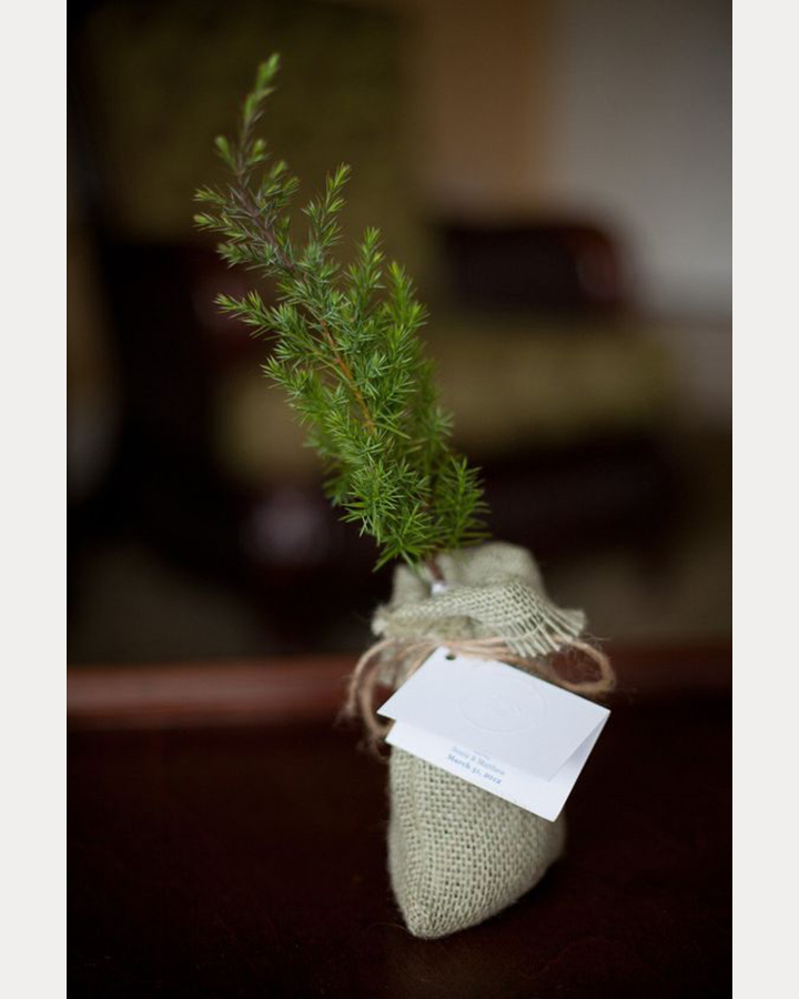 21 More "Not Jam" Wedding Favors ~ we ❤ this! moncheribridals.com