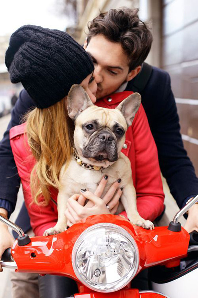 21 Oh So Adorable Engagement Photos with Dogs ~ we ♥ this! moncheribridals.com
