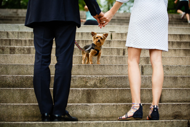 21 Oh So Adorable Engagement Photos with Dogs ~ we ♥ this! moncheribridals.com