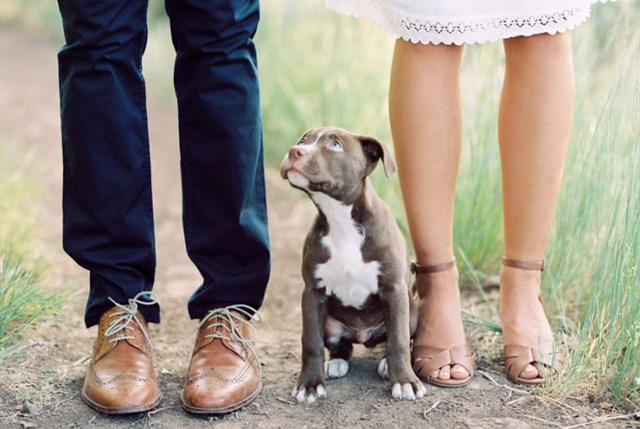 21 Oh So Adorable Engagement Photos with Dogs ~ we ♥ this! moncheribridals.com