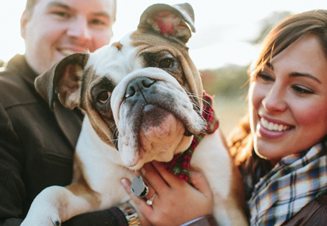 21 Oh So Adorable Engagement Photos with Dogs ~ we ♥ this! moncheribridals.com