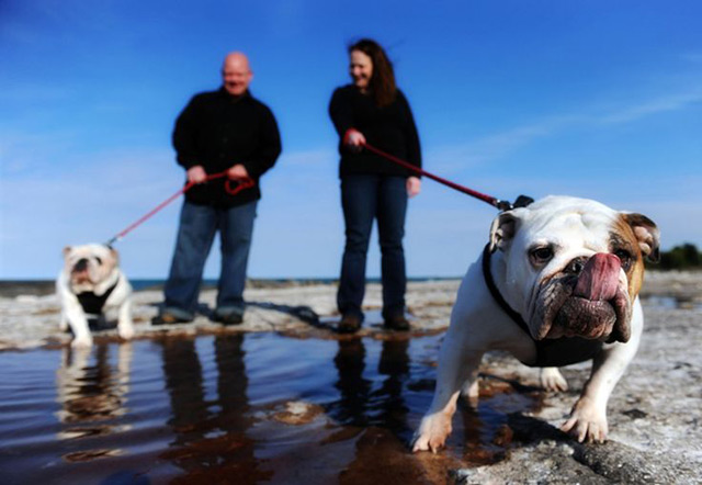 21 Oh So Adorable Engagement Photos with Dogs ~ we ♥ this! moncheribridals.com