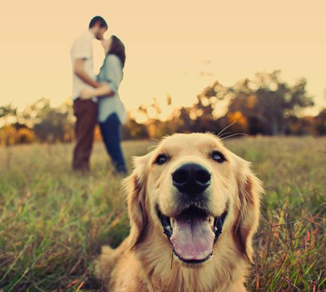 21 Oh So Adorable Engagement Photos with Dogs ~ we ♥ this! moncheribridals.com