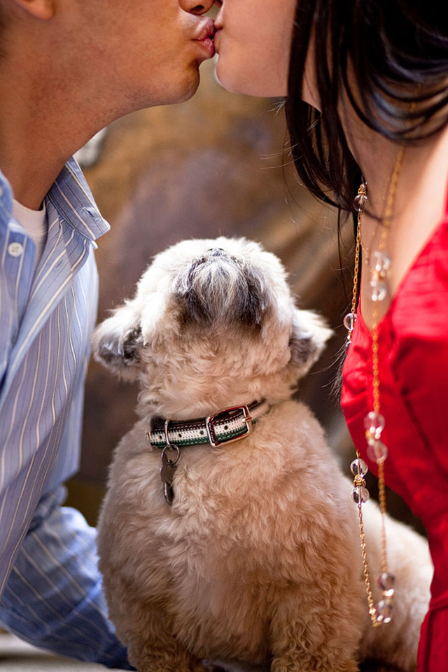 21 Oh So Adorable Engagement Photos with Dogs ~ we ♥ this! moncheribridals.com