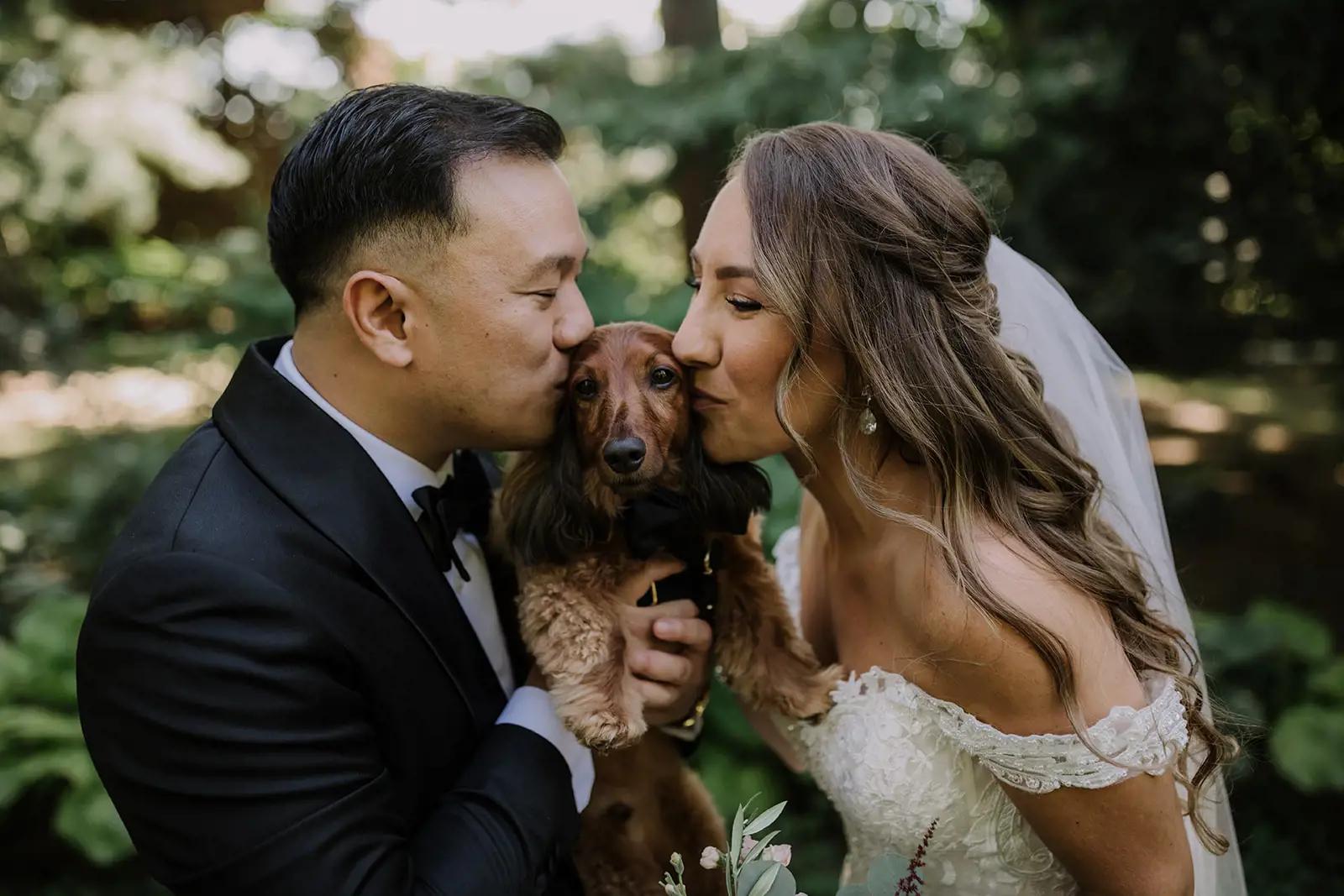 Real Brides and Their Furry Friends