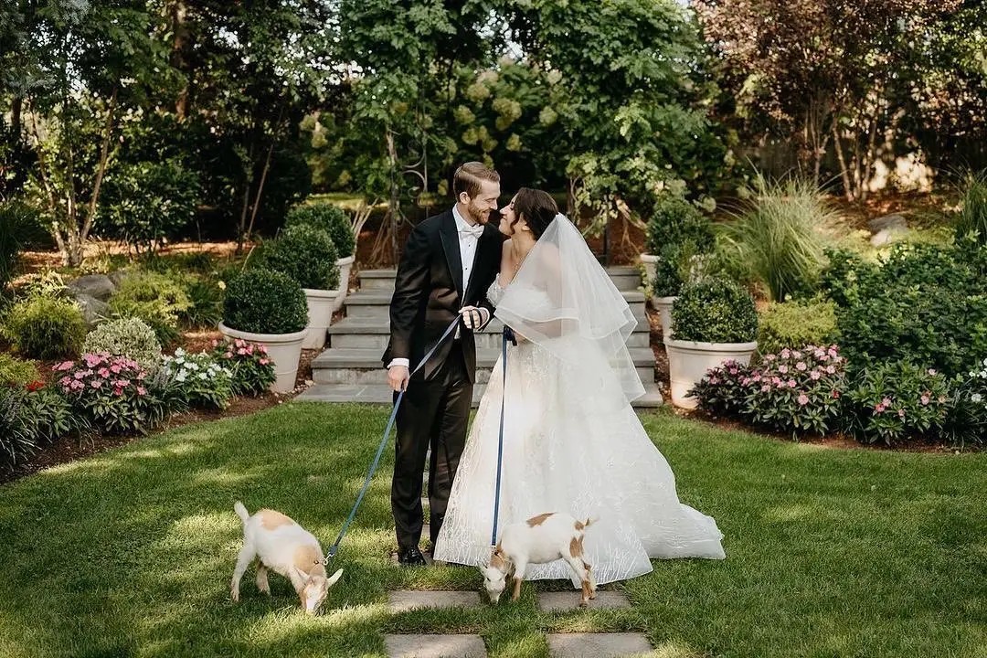 bride and groom with goats