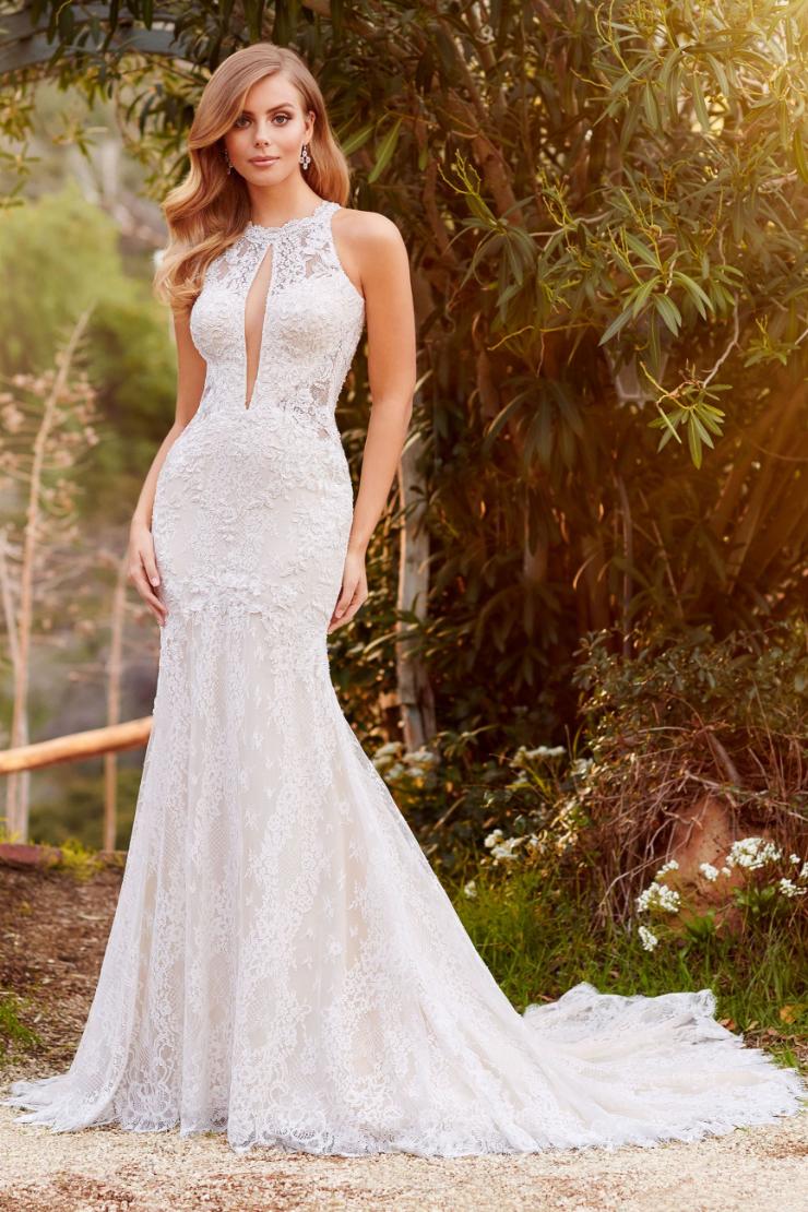 Lindley Vintage-inspired lace fit and flare gown with illusion high neckline