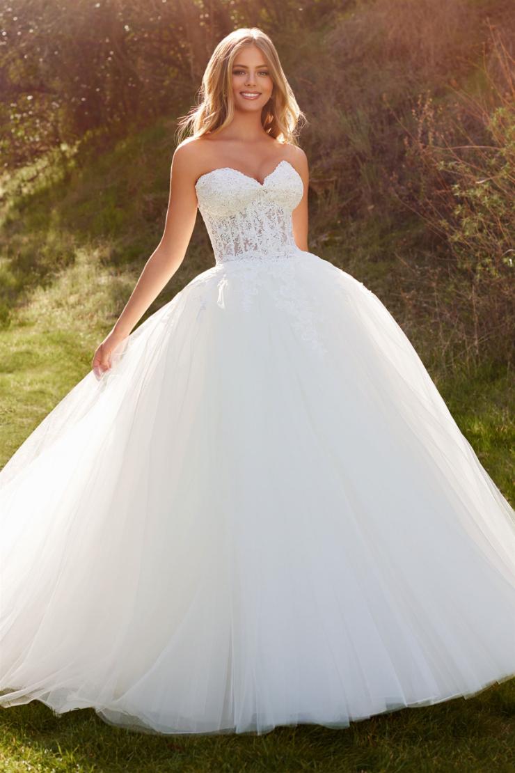 Remington Princess-worthy strapless ball gown with corset bodice