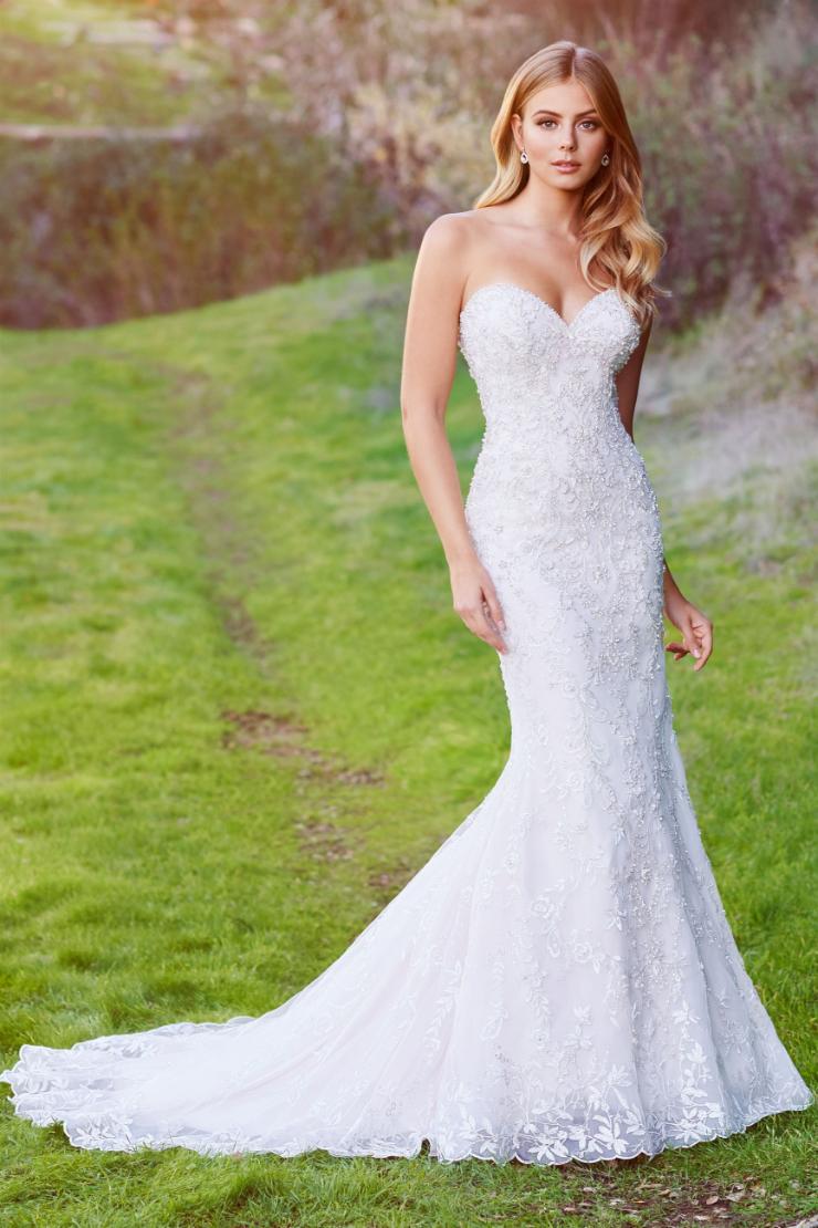 Visalia Intricate strapless fit and flare gown with beaded lace
