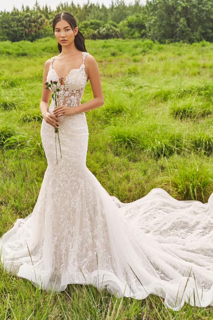 Asti Mermaid wedding dress with spaghetti straps, sheer bodice, and all-over lace