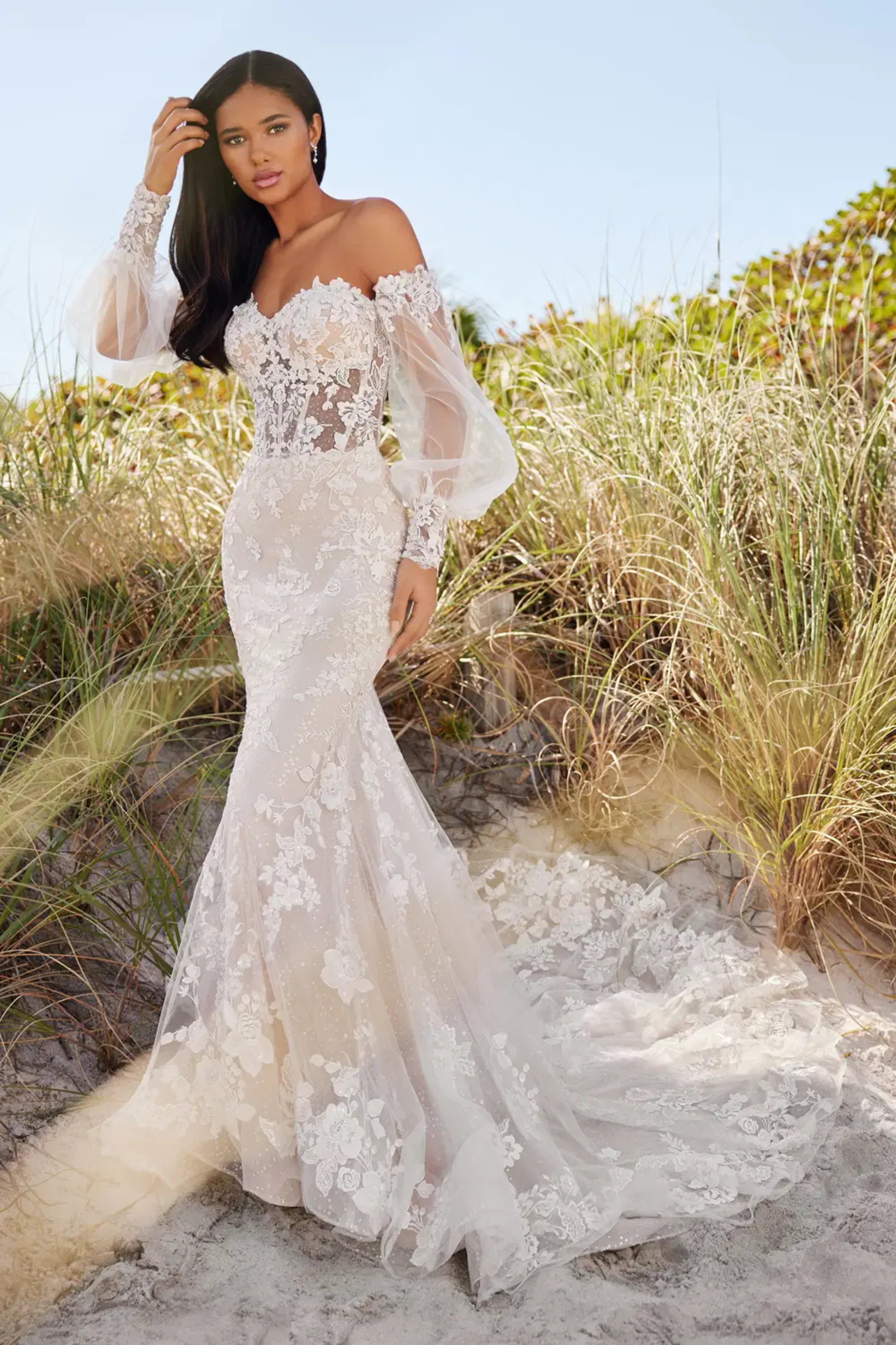 141a2893_c8db_48e3_a72e_62b356