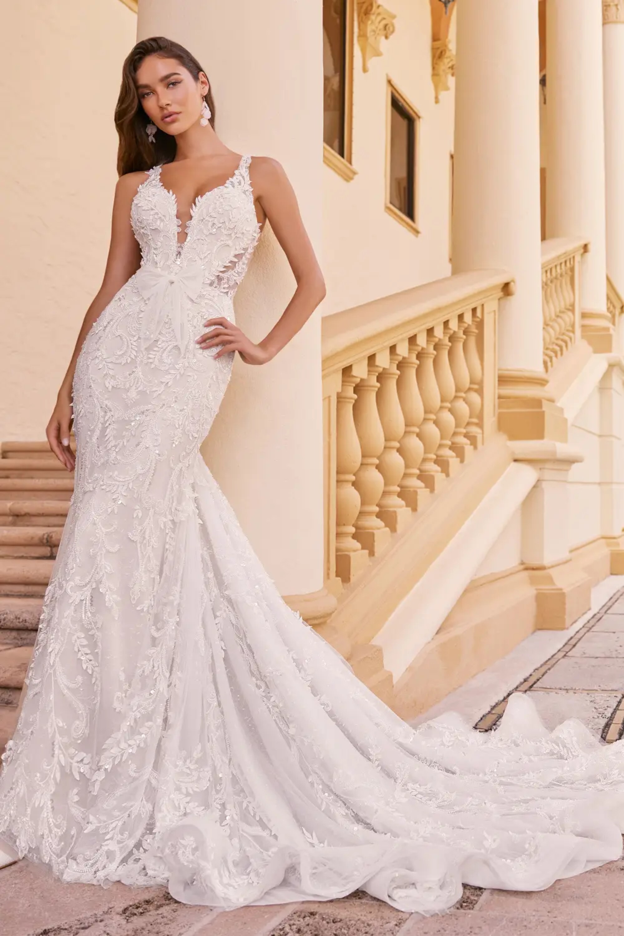 Cameron: Plunging V-Neck Lace Mermaid Wedding Dress with