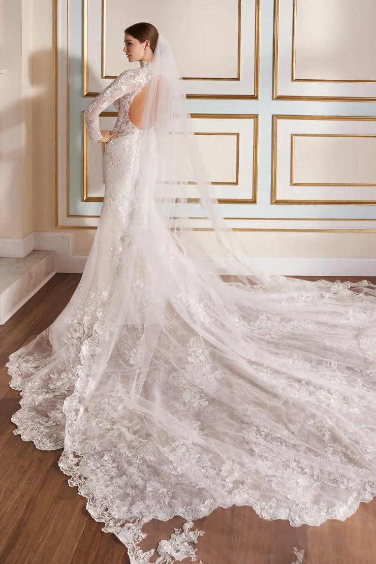 Long Sleeve Fit And Flare Wedding Dress With Detachable