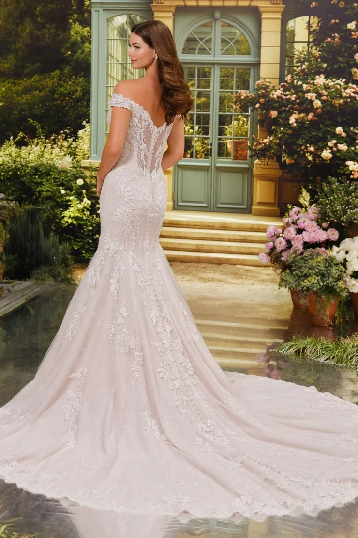 MT4052 Cherish #2 Ivory/Blush picture